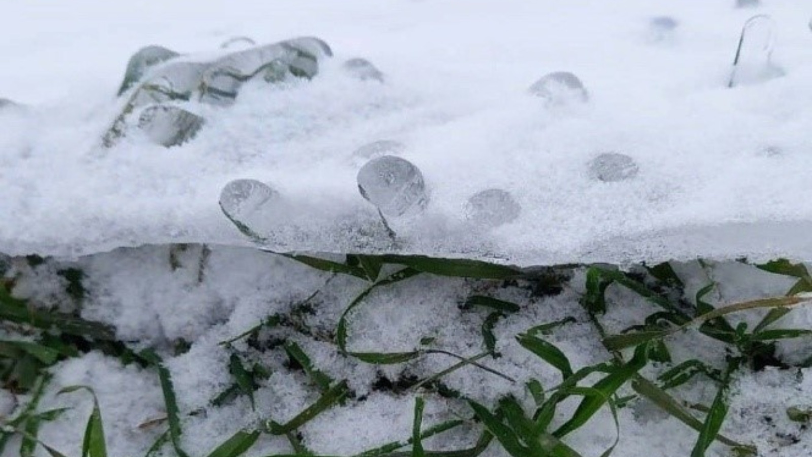 ледяная корка на снегу. замерзшая лужа. ледяная корка на поверхности. притертая ледяная корка. корка снега.